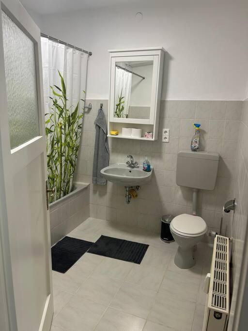 2 Zi Whng Stadtmitte Loerrach Екстер'єр фото